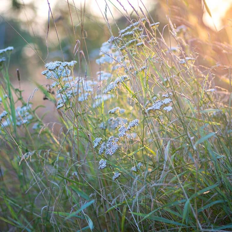 Online counselling in Winchester